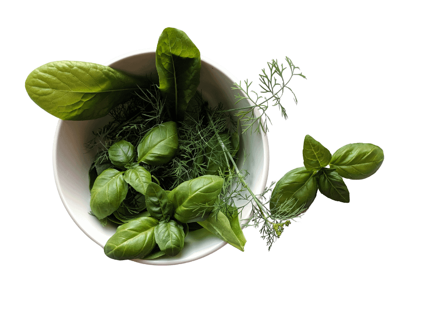 5 herb herb and bowl